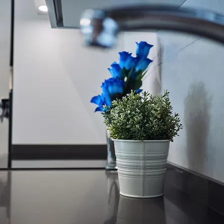 Amara Prime * San Sebastian