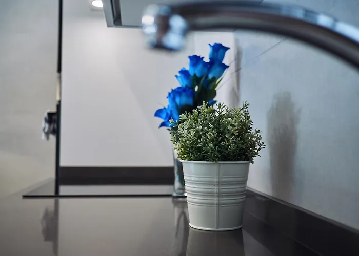 Amara Prime * سان سيباستيان